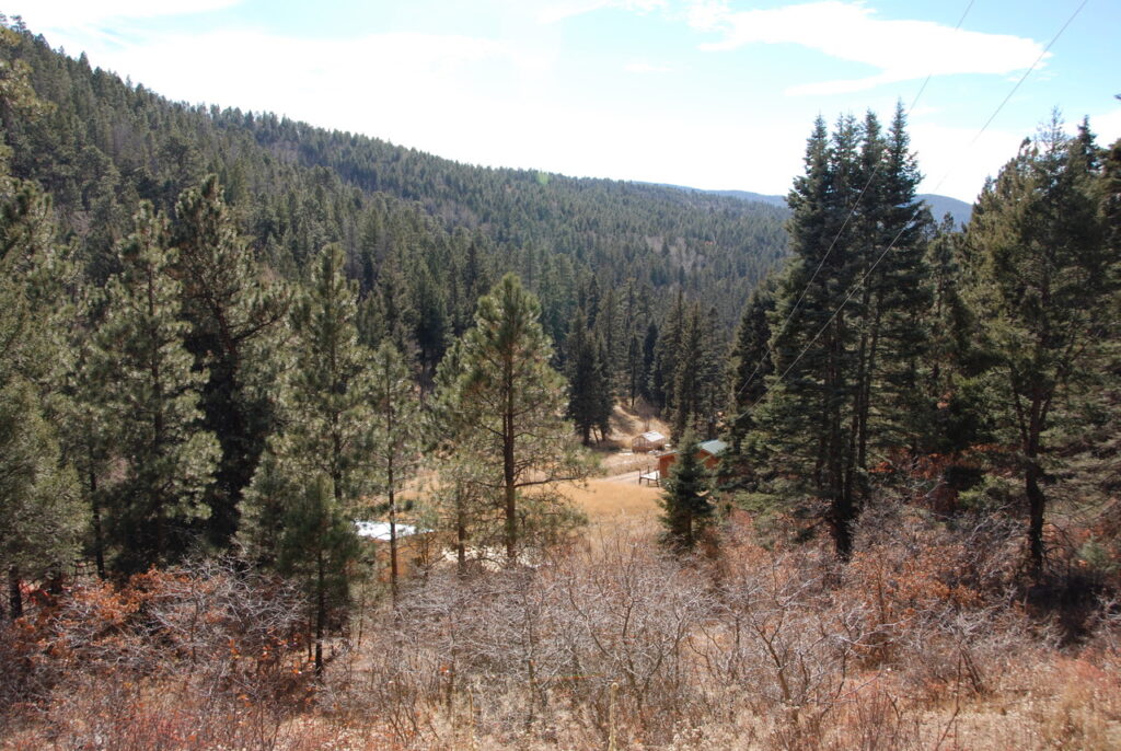 DSC 0075 1